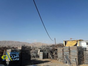 تصویر 3
